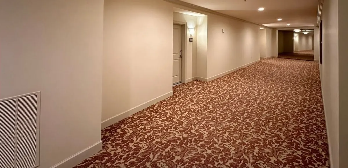 Hallway carpet, before renovation