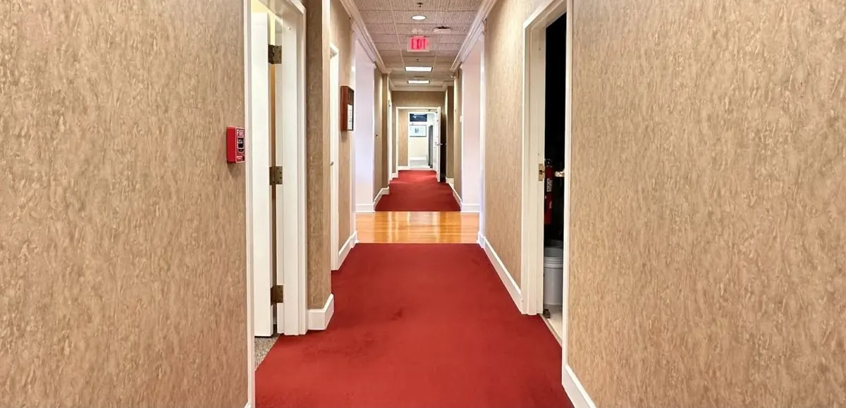 Hallway carpet and wall covering, before renovation