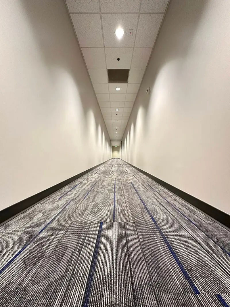 Office corridor with patterned carpet tile